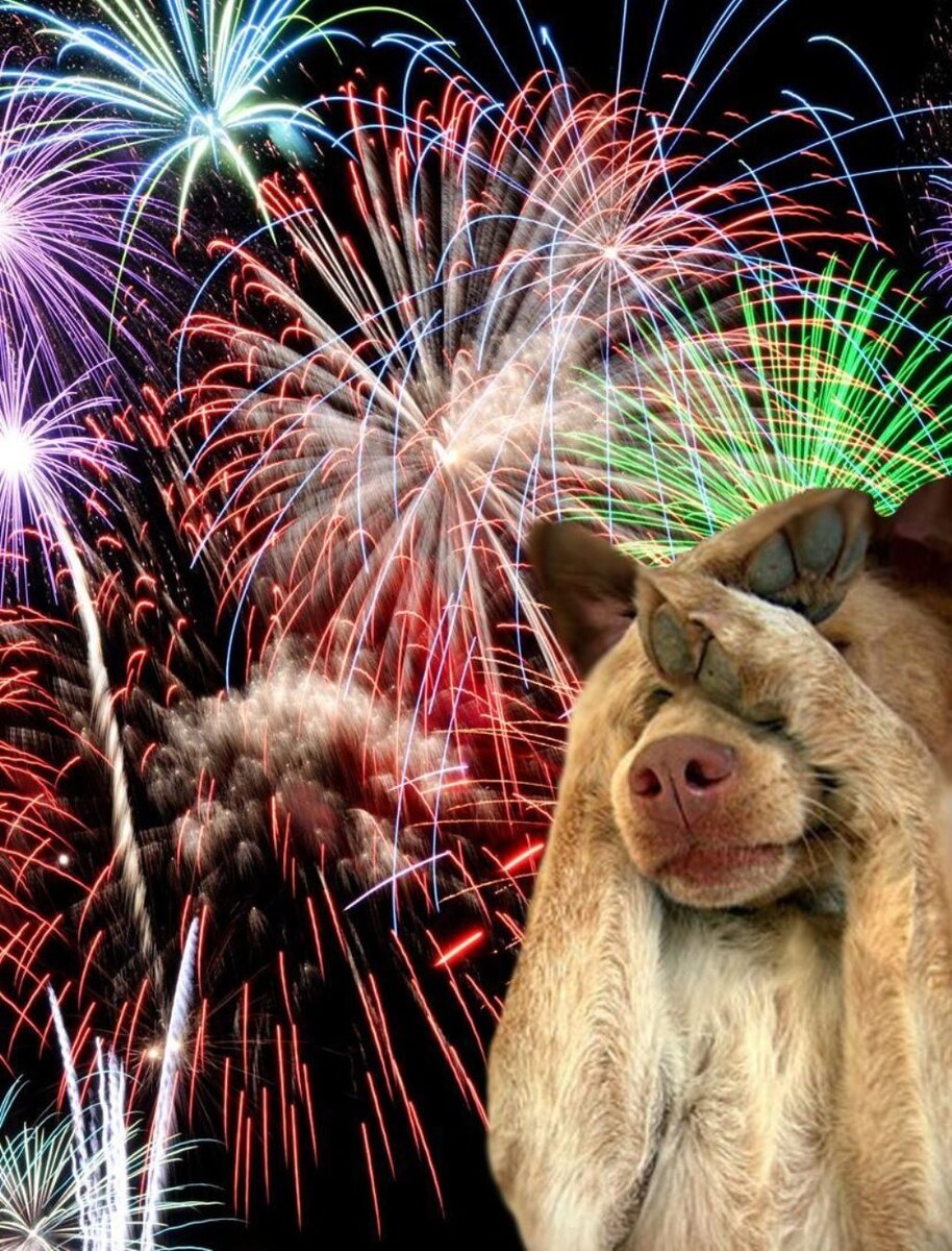 картинка с сайта ОК.ru  (автор Належда Князева)