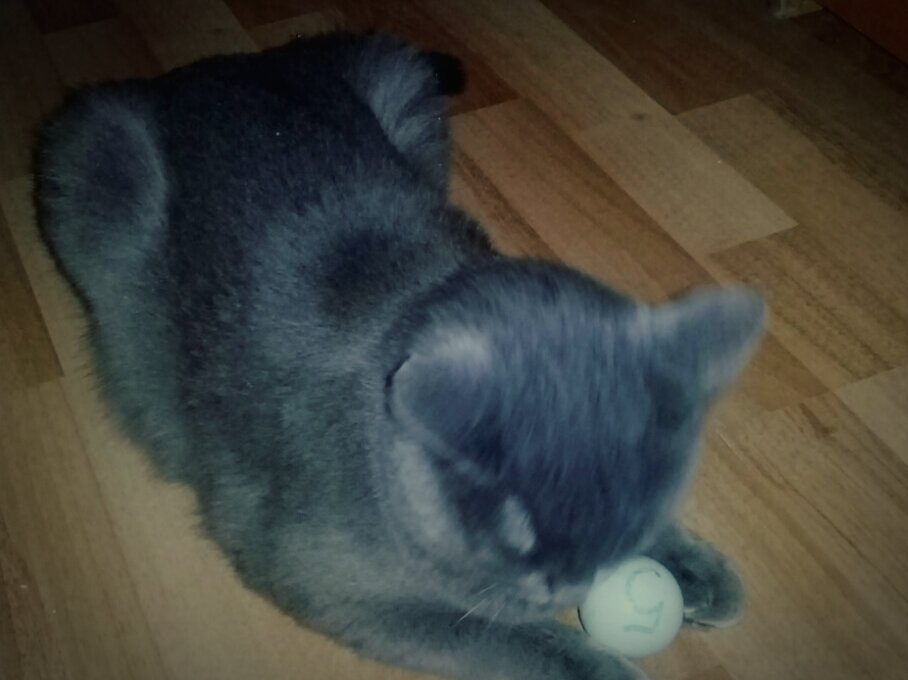 Да прибудет уют в доме вашем