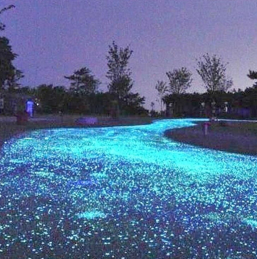 Бирюзовое свечение создает иллюзию реки. Один из вариантов создания в ландшафте сухого ручья.