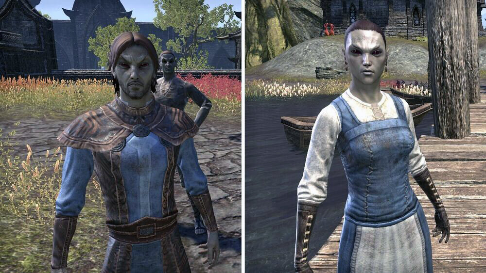 Задание №1. Правда ли, что у данмеров пепельная кожа и как правило, красные глаза из-за наказания Азуры? Напиши ответ в комментариях!