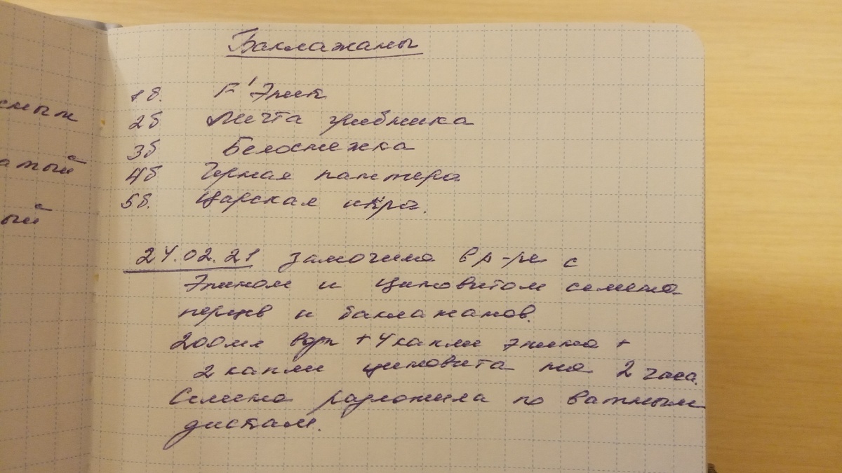 Уже начала делать в дневнике первые записи. Очень хорошо, что клеточка крупная - можно писать на каждой строчке