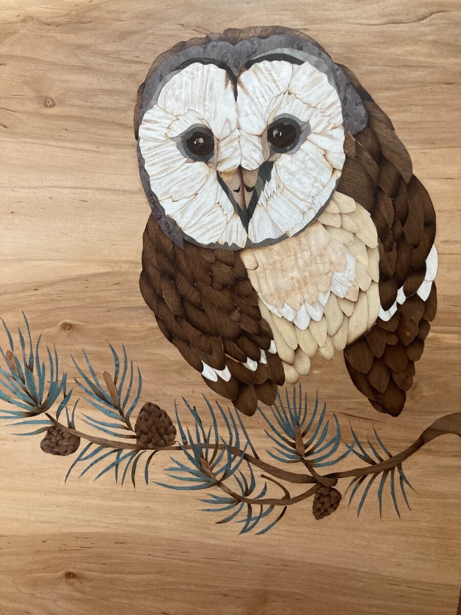 Фрагмент моей работы в технике маркетри. Сова на ветке.