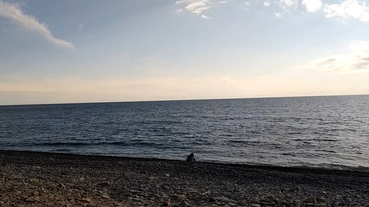 Берег Черного моря - бухта Малый Утриш