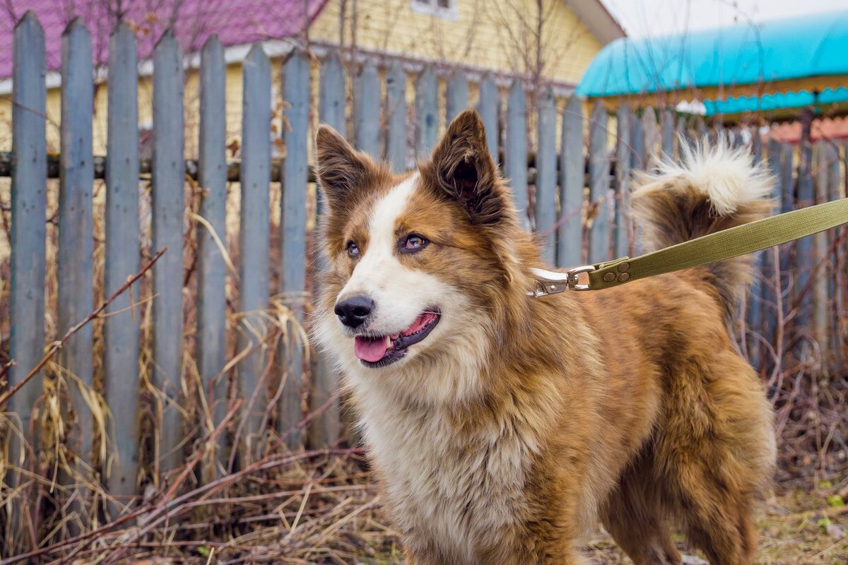 Его взгляд  обладает невероятным магнетизмом