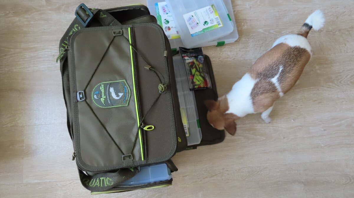 Пес обнюхал сумку и одобрил покупку