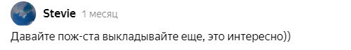 Скриншот комментария под прошлой статьей на канале РемонтДом