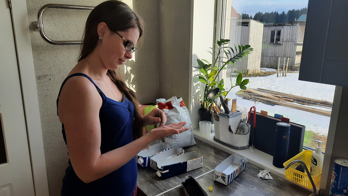 загубила петунию, семена сгнили(  Буду сажать еще