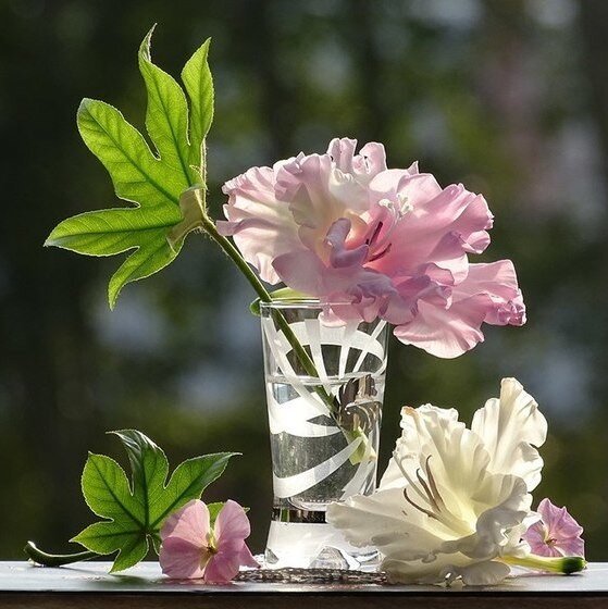 Фото из интернета