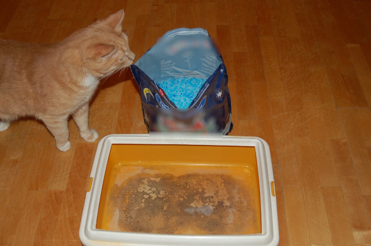 Расположите клетку в удобном месте