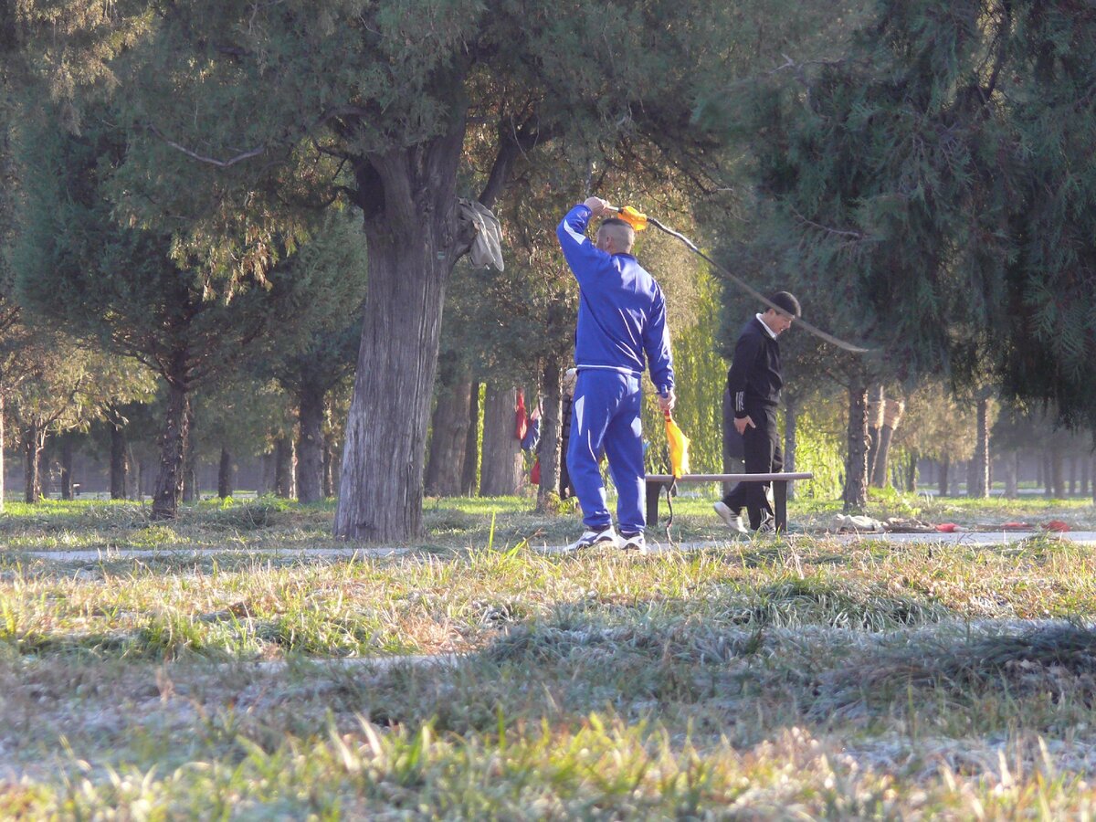 в парках Пекина