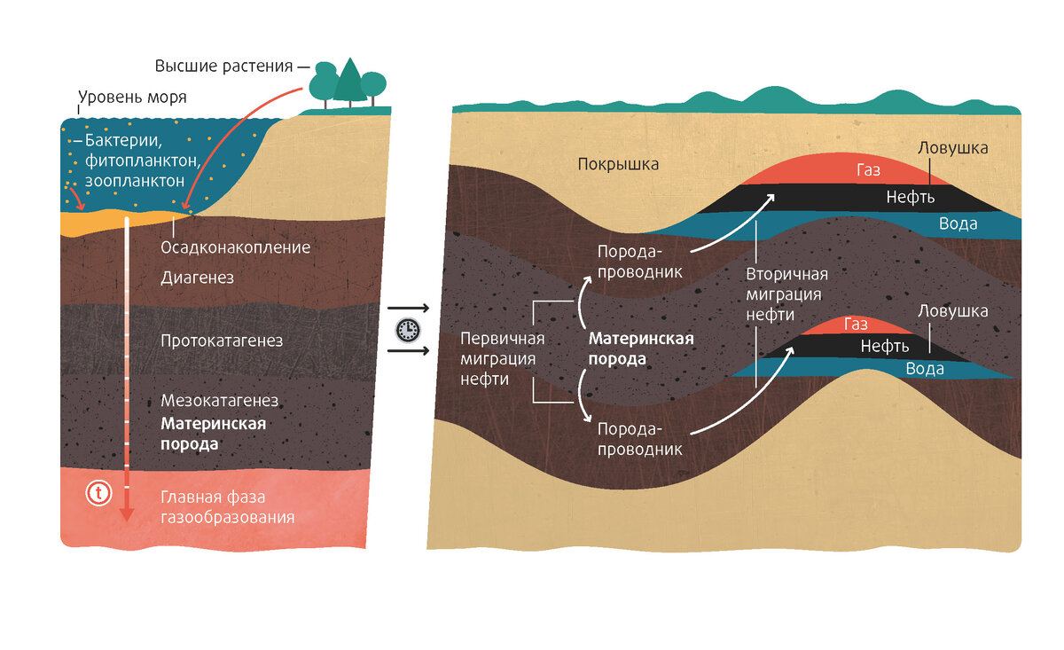 Появляются новые слои. Образование нефти и газа в недрах земли. Схема органического происхождения нефти. Биогенная теория происхождения нефти схема. Схема образования нефти.