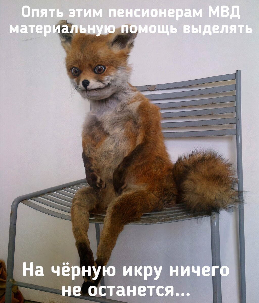 Типичный день сотрудника из комиссии по выделению материальной помощи пенсионерам МВД