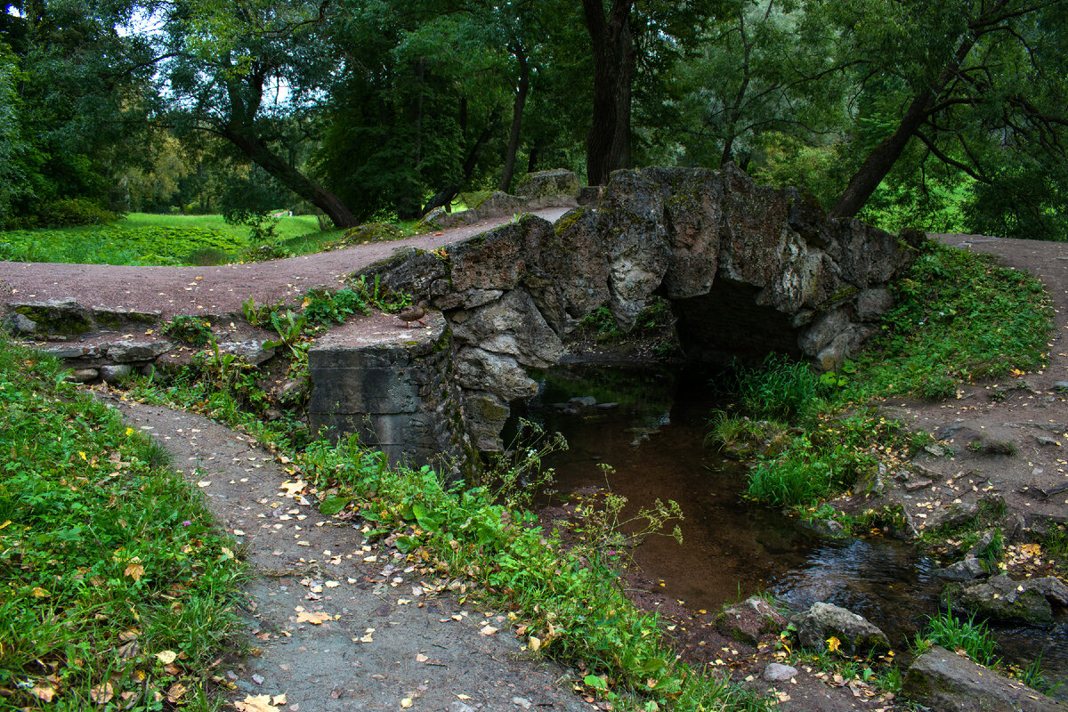 Горбатый мостик (листайте галерею)