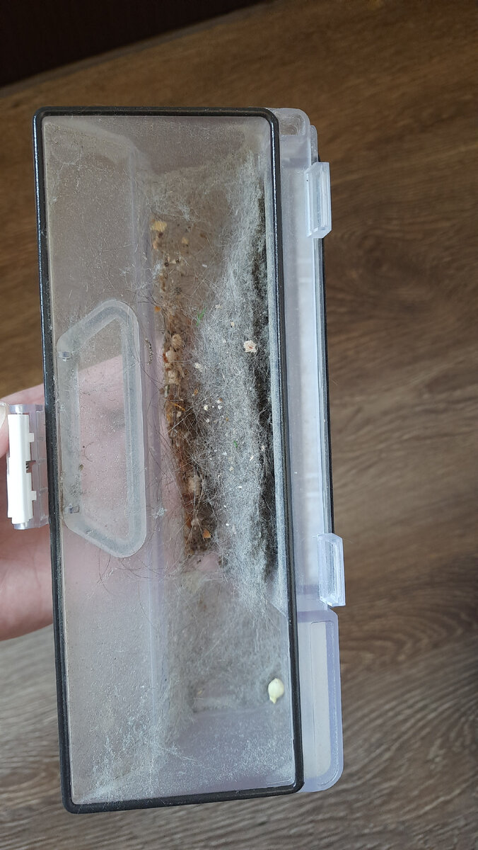 Это за результат одной уборки