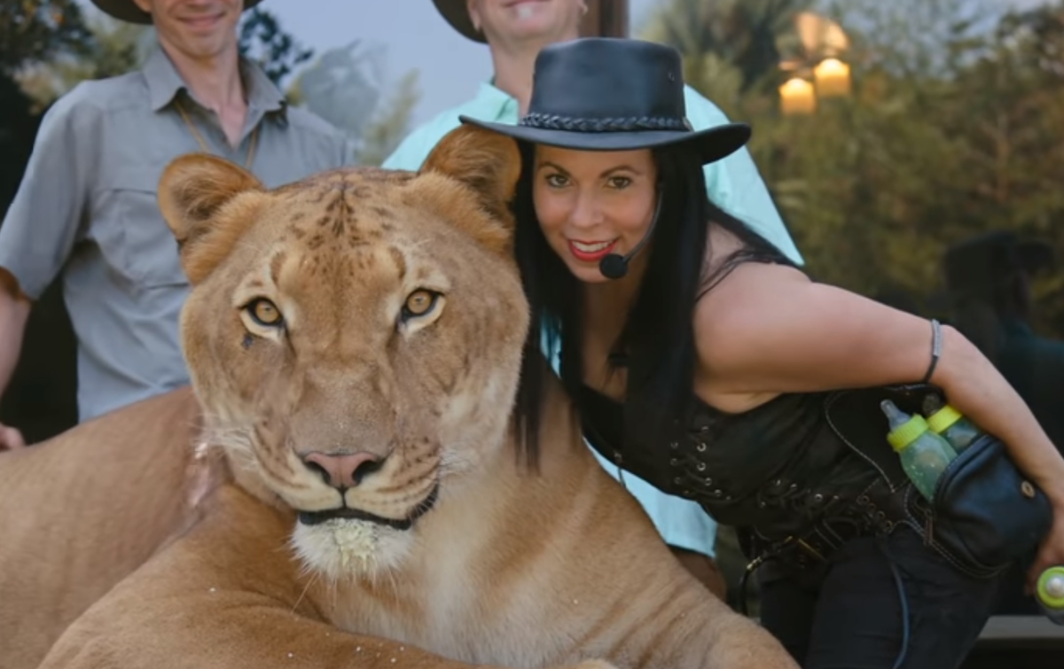 кадр из сериала Король тигров: Убийство, хаос и безумие