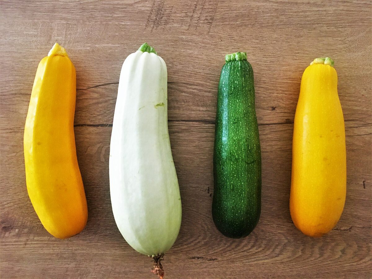 Кабачок цуккини романеско. Маленький кабачок. Кабачок джетта f1. Маленький кабачок. Кабачок цуккини растение.