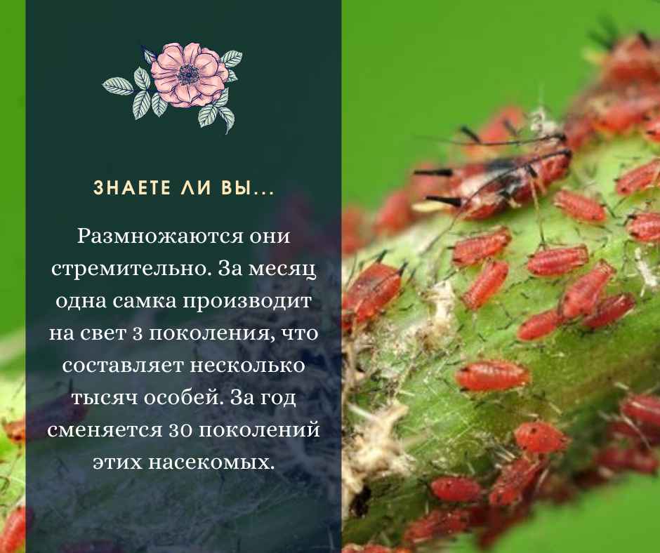 Как вам такая скорость? Вот у кого есть все шансы захватить этот мир))