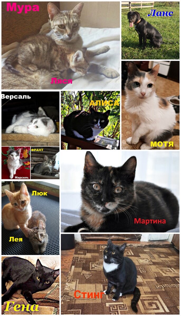 Вот такая компания. Сама в них путаюсь