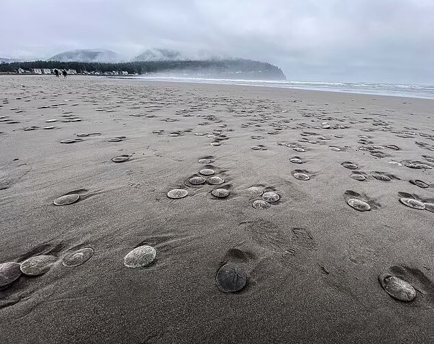 Источник: facebook.com