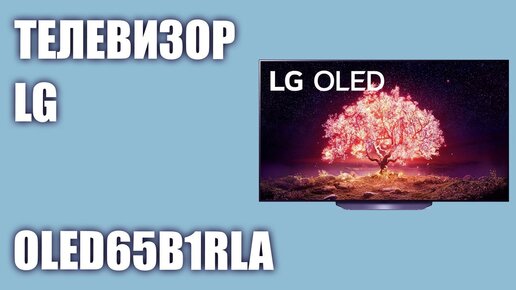 Телевизор LG OLED65B1RLA (OLED65B1)