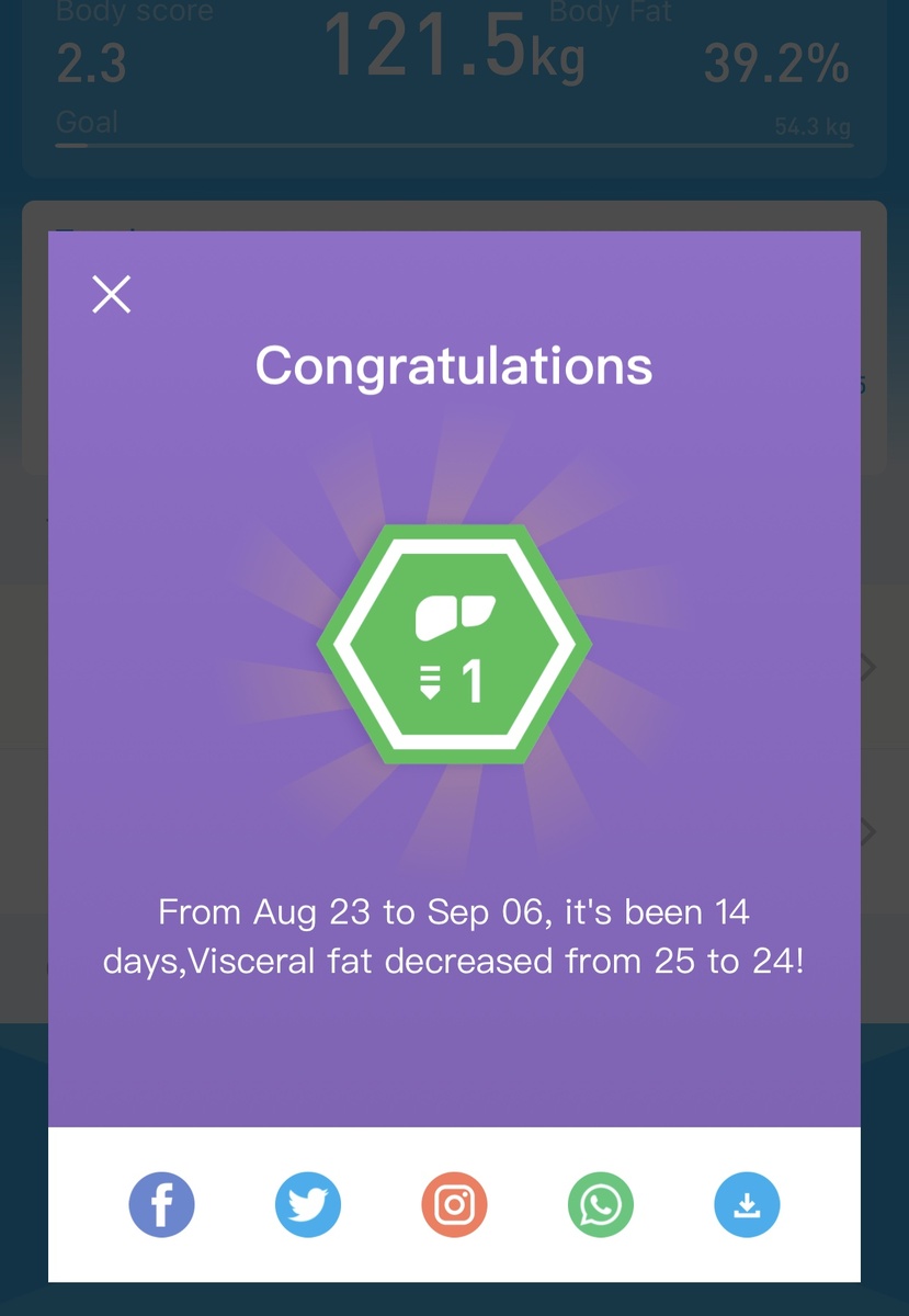 Скриншот из приложения для умных весов PICOOC, сделанный автором.