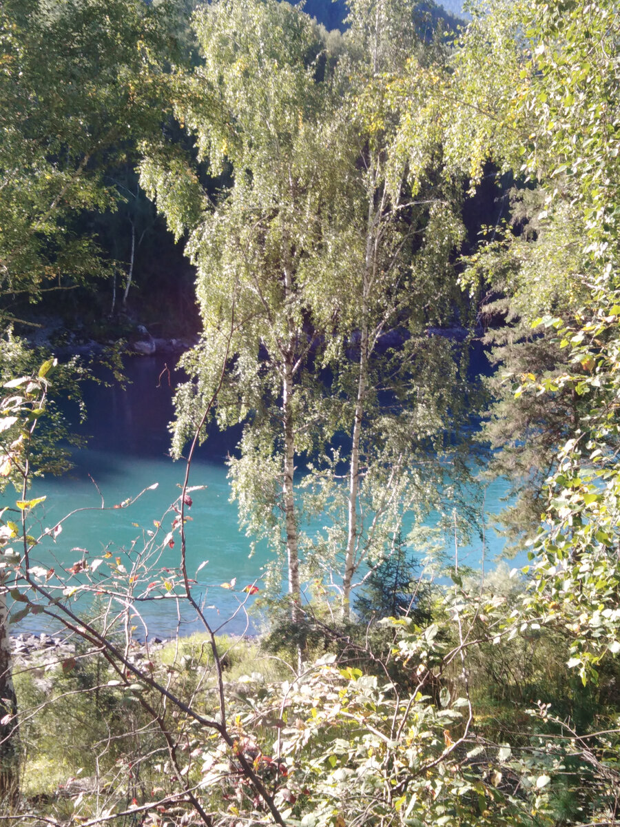 фото автора, на так себе телефон, если что, звонки с фотоаппарата - ещё хуже!