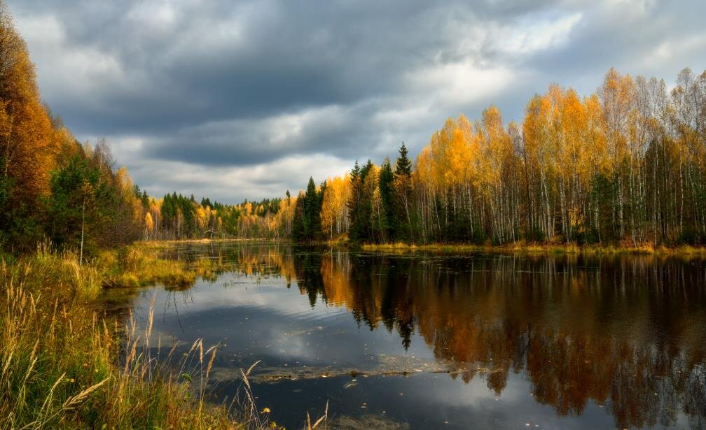 Фото — photocentra.ru