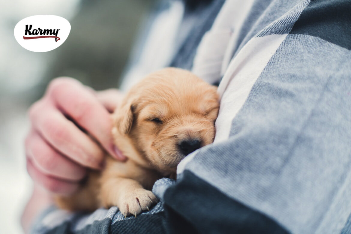 Авторское изображение с использованием картинки с фотостока "Unsplash"