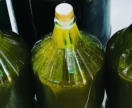 в Италии сейчас в самом разгаре сезон свежего оливкового масла (фото – Piano Piano)