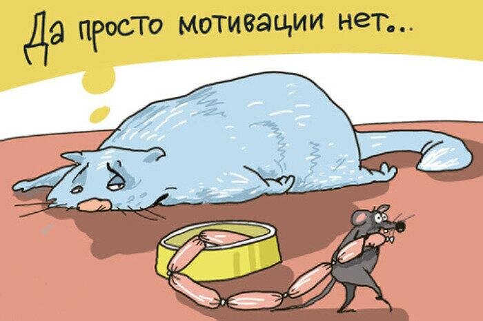 Яндекс.Картинки