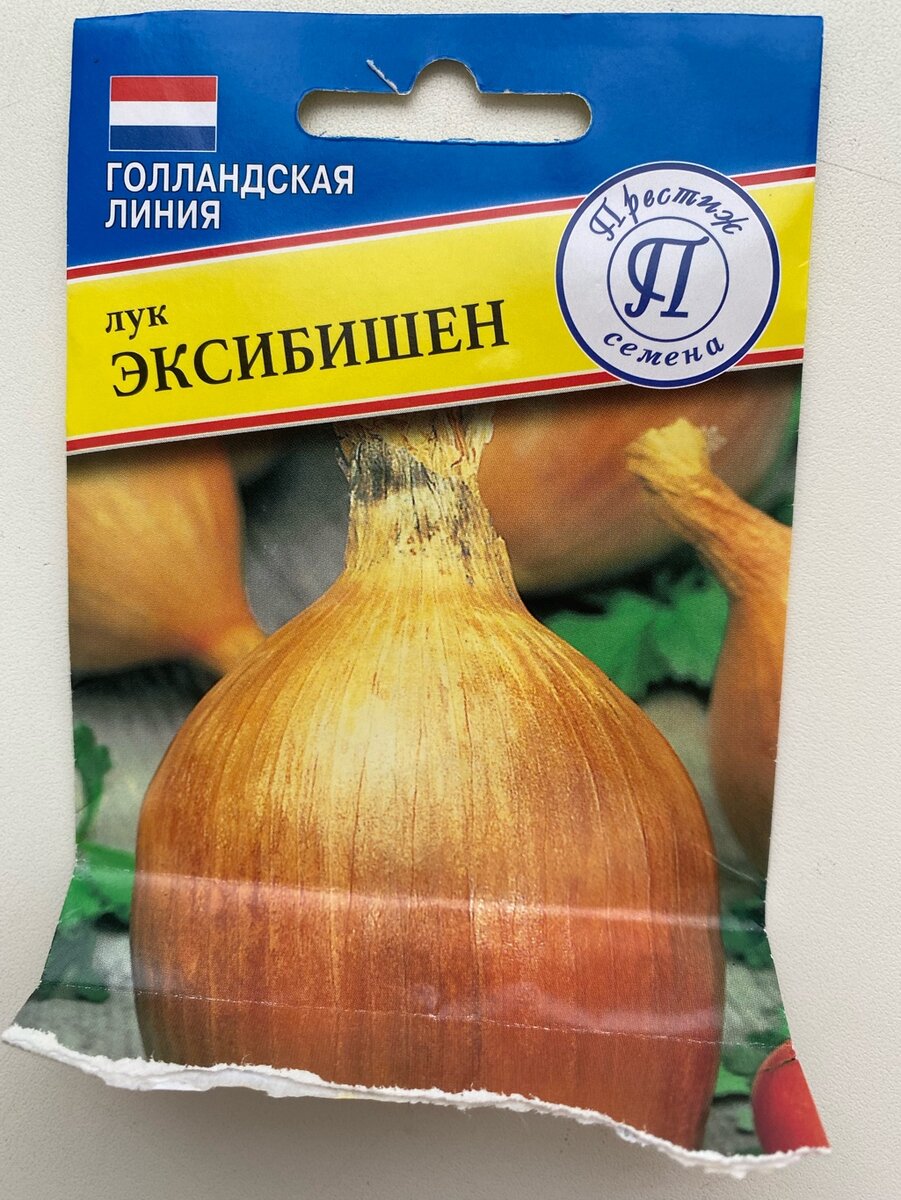 Лук даниловский