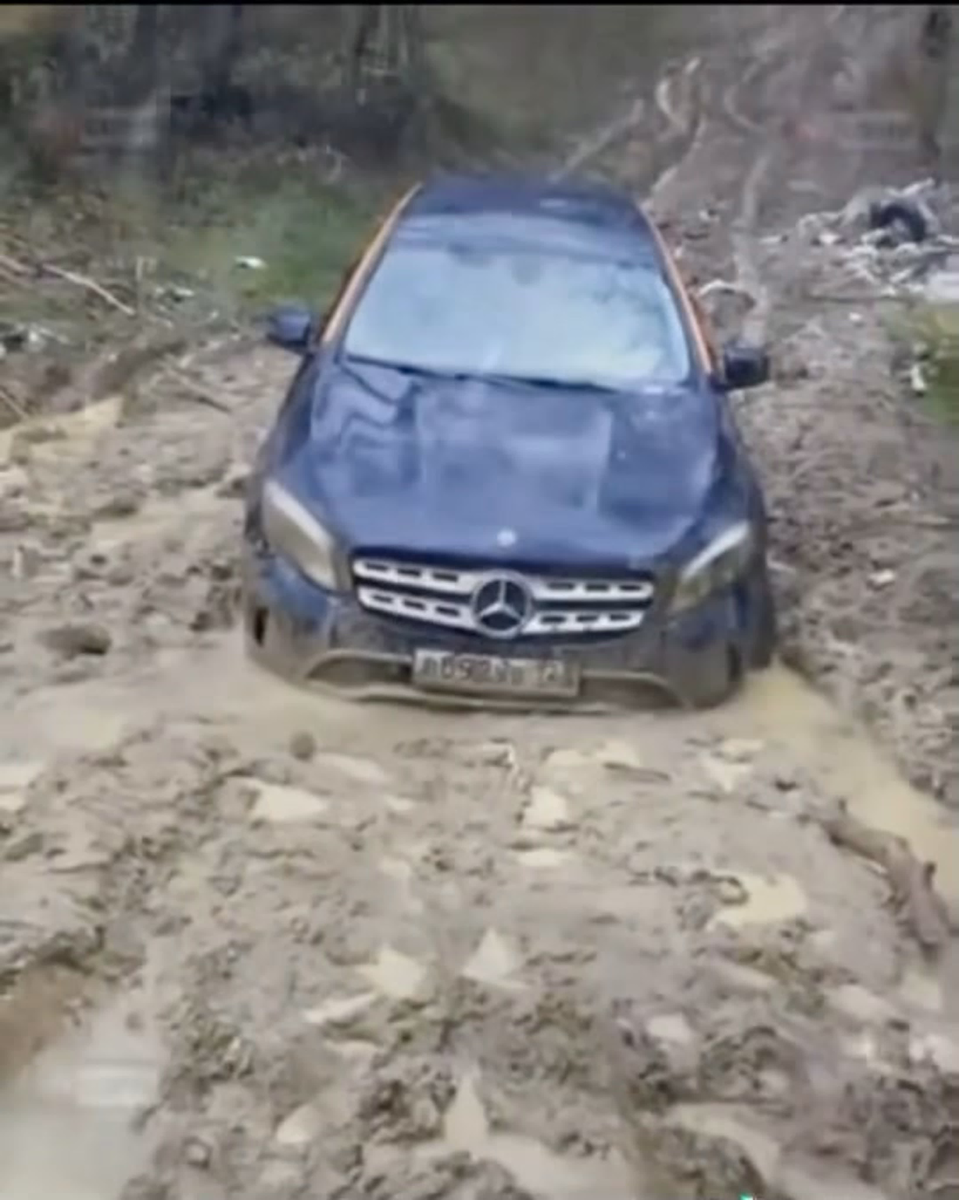 фото из открытых источников.