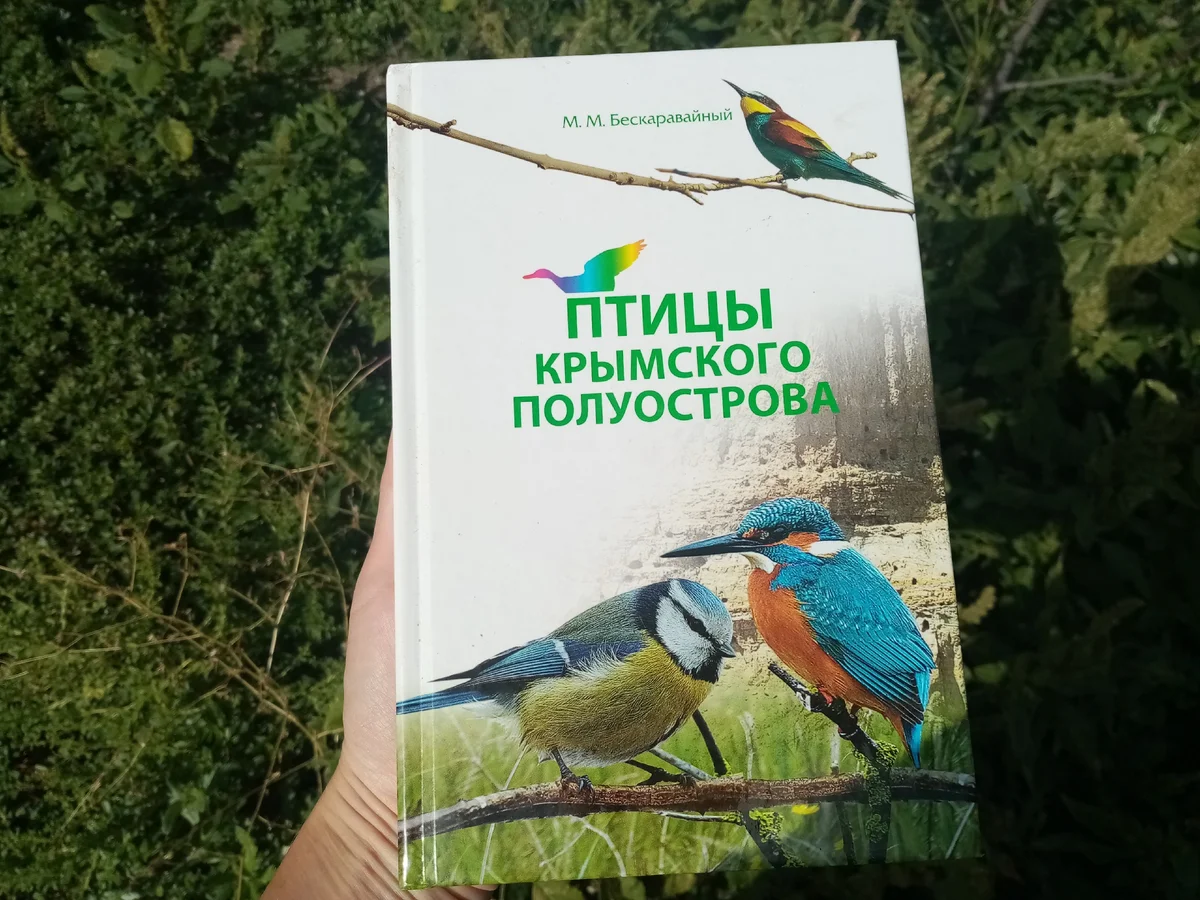 Книга из моей библиотеки.