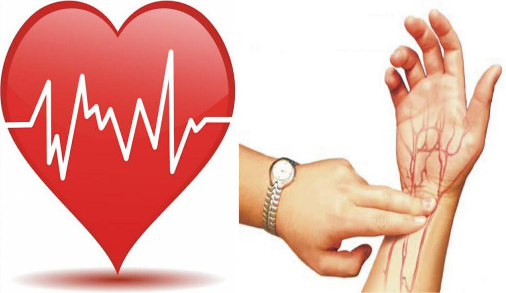 источник рисунка: vsedavlenie.ru