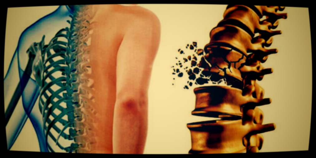   Но с возрастом старые разрушаются быстрее, чем создаются новые. 