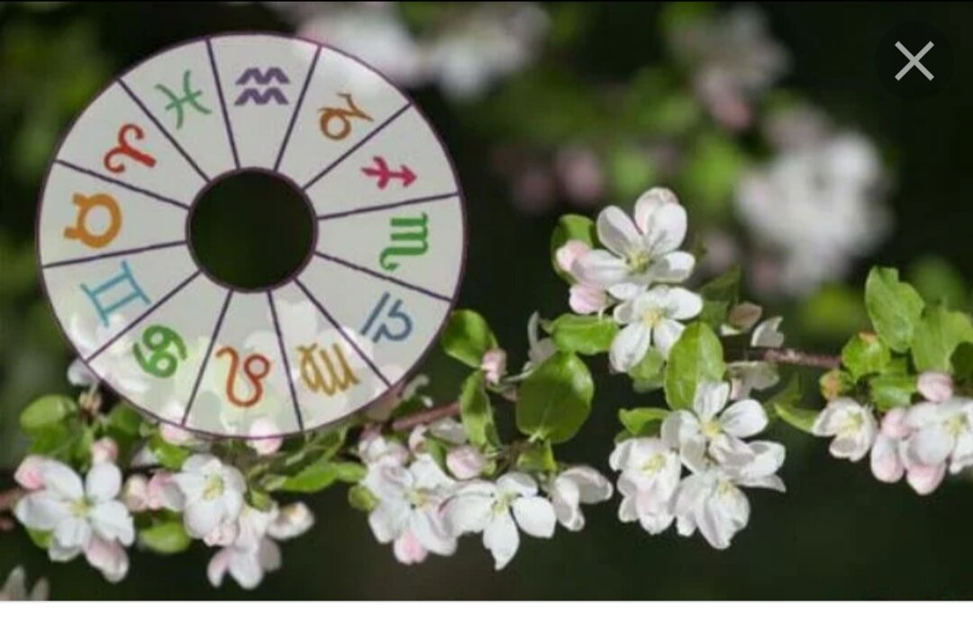 Весенние знаки зодиака. Весенний гороскоп.
