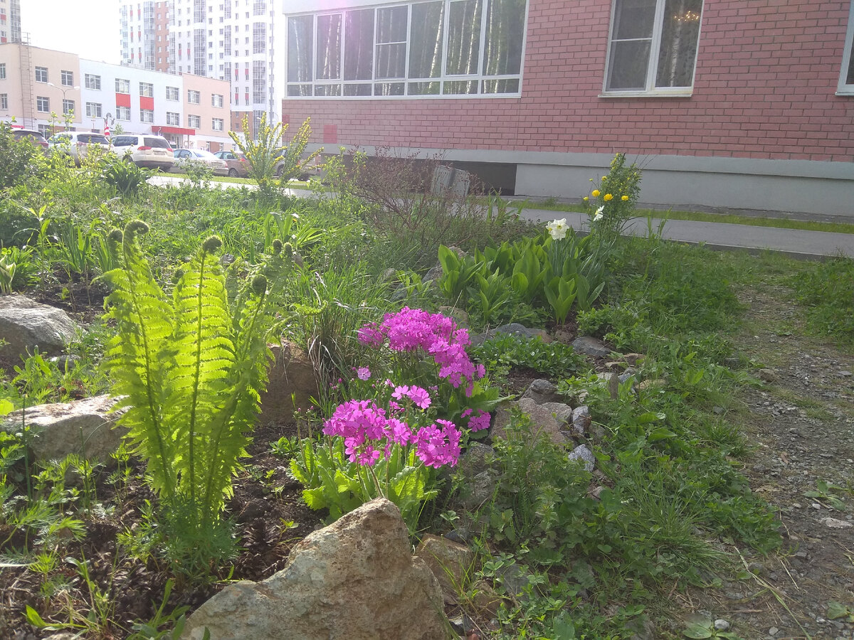 Цветы на Цветаевой. Третья весна. 