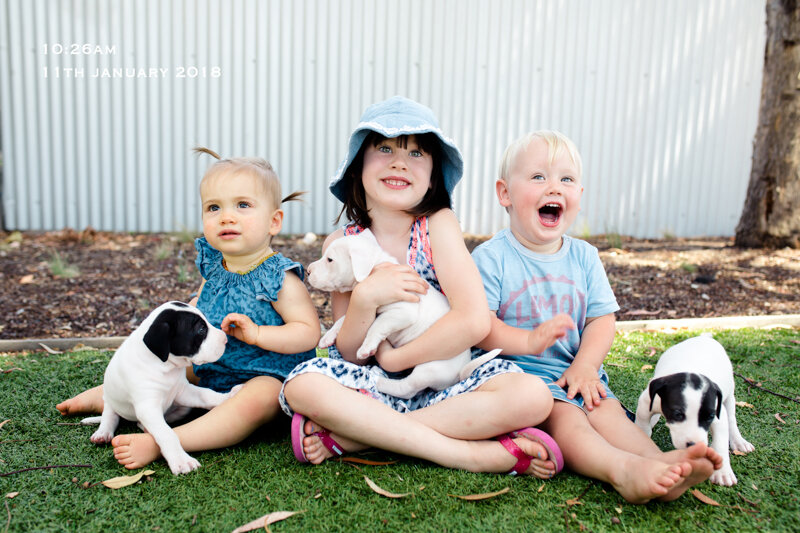 Photo project by Bec Brindley "31 Days of Summer". Фото из интернета