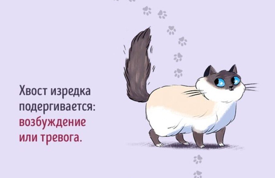 Фото: Adme.ru