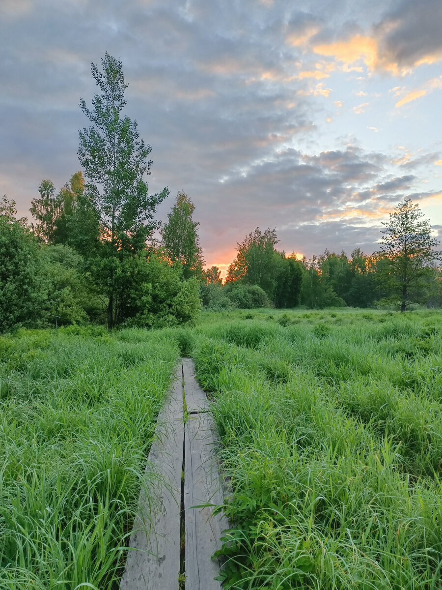 река гуслица