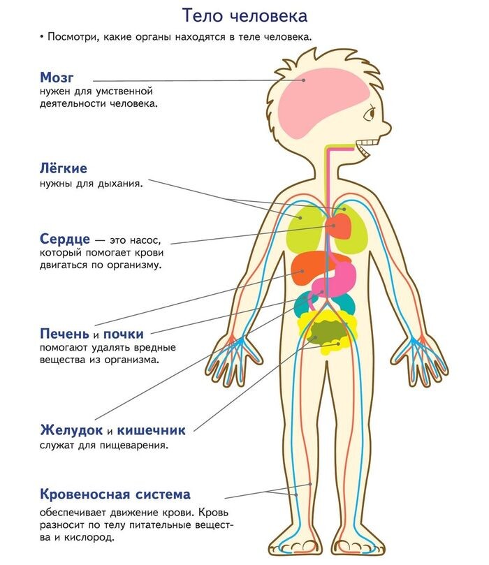 Из открытых источников