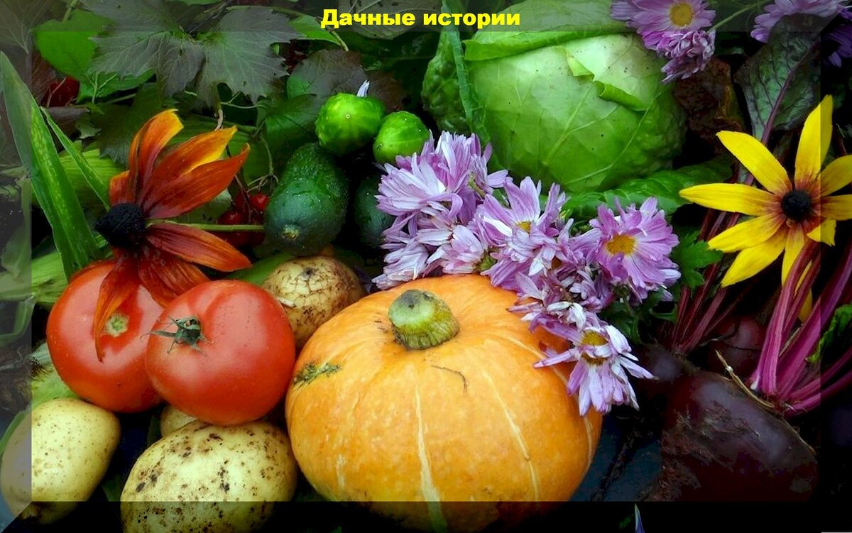 https://vk.com/photo-159774511_457255175