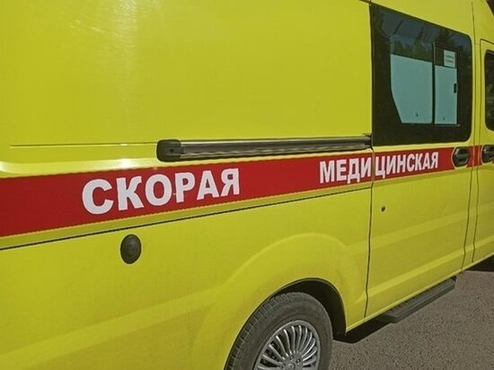     Фото: МК на Дону