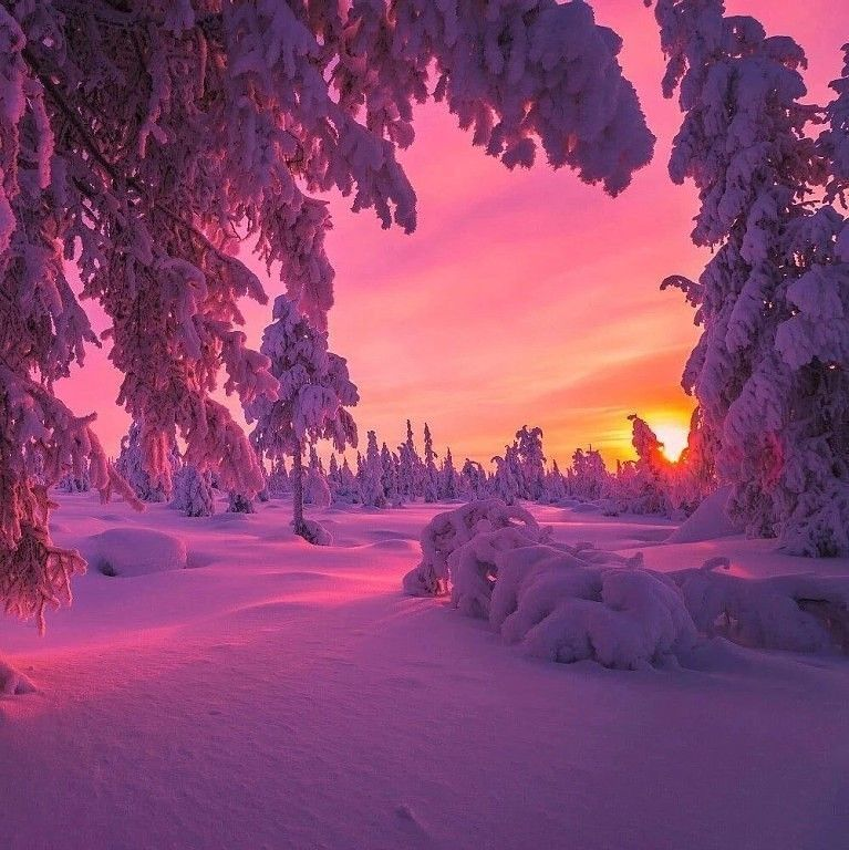 Любим от души
