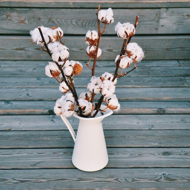    Ситцевая свадьбаСоцсети