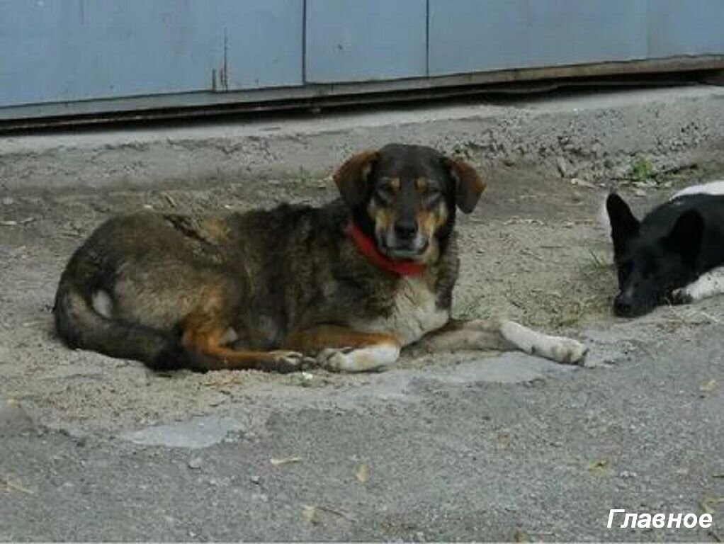 Изображение из открытых источников