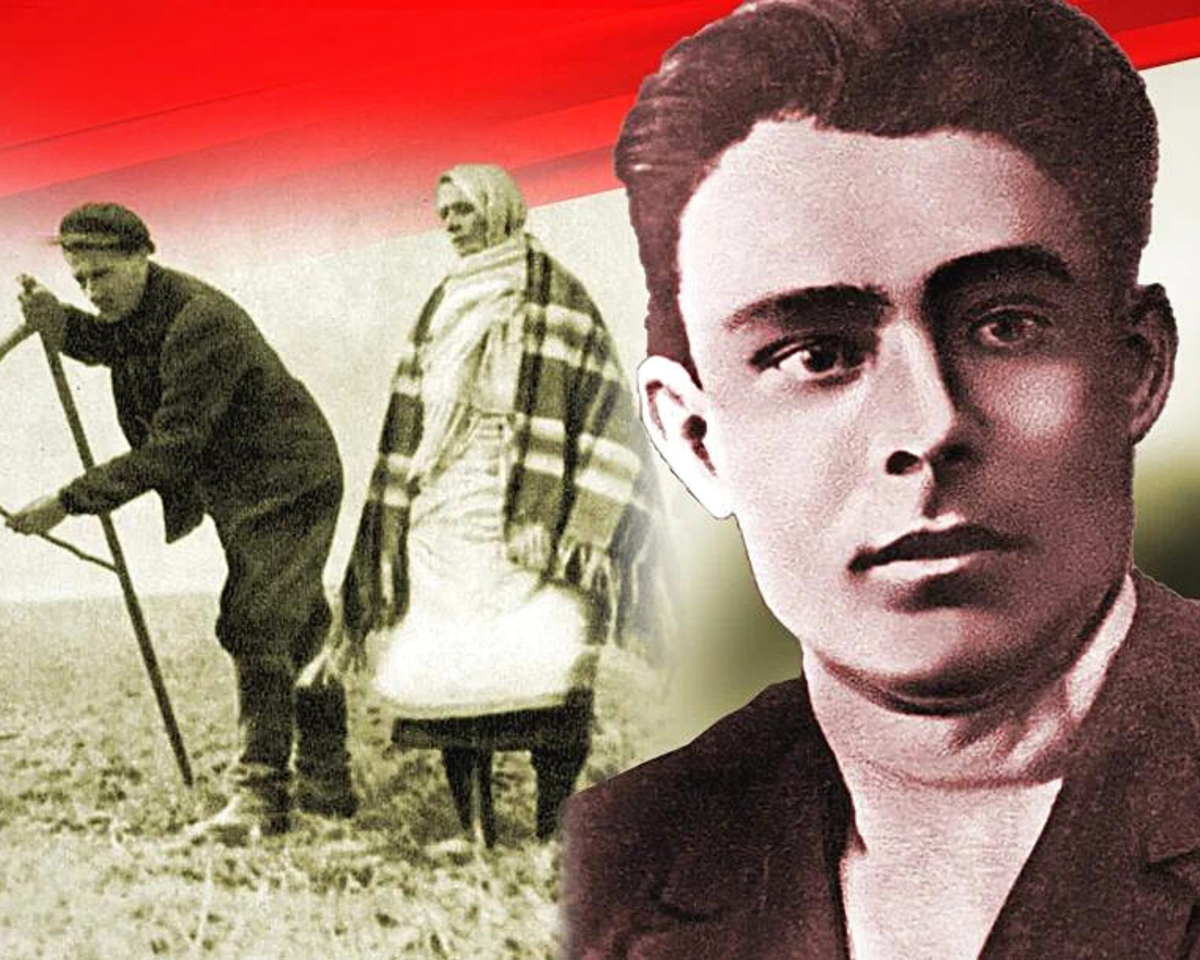 Носит иллюстративный характер/Фото из свободных источников