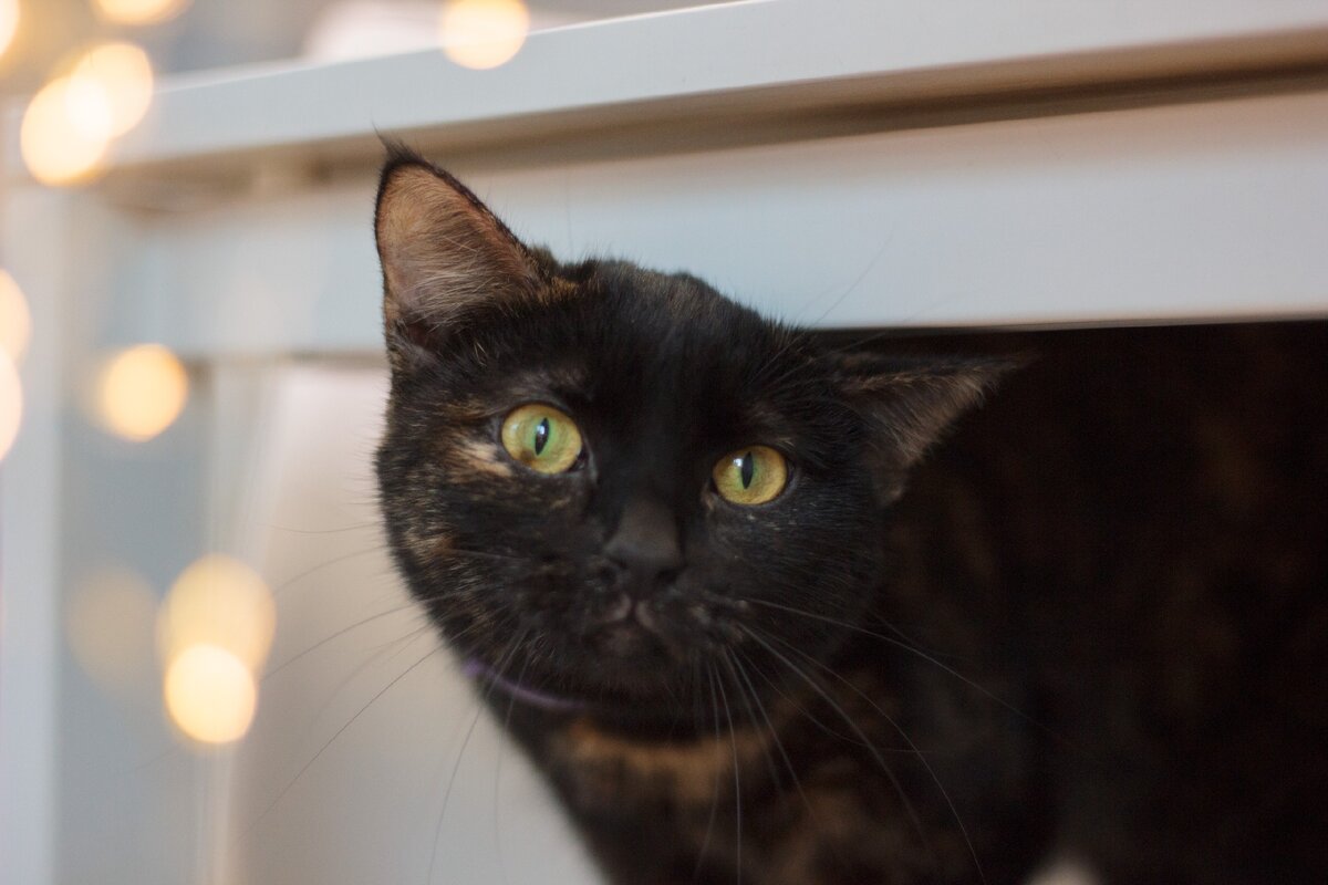 Фото предоставлено автором