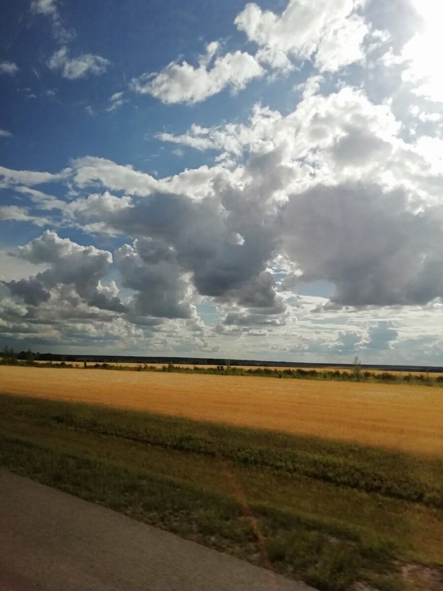   В дороге