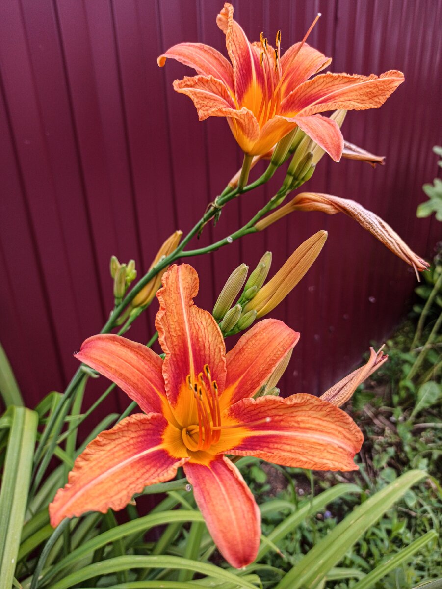 Личное фото